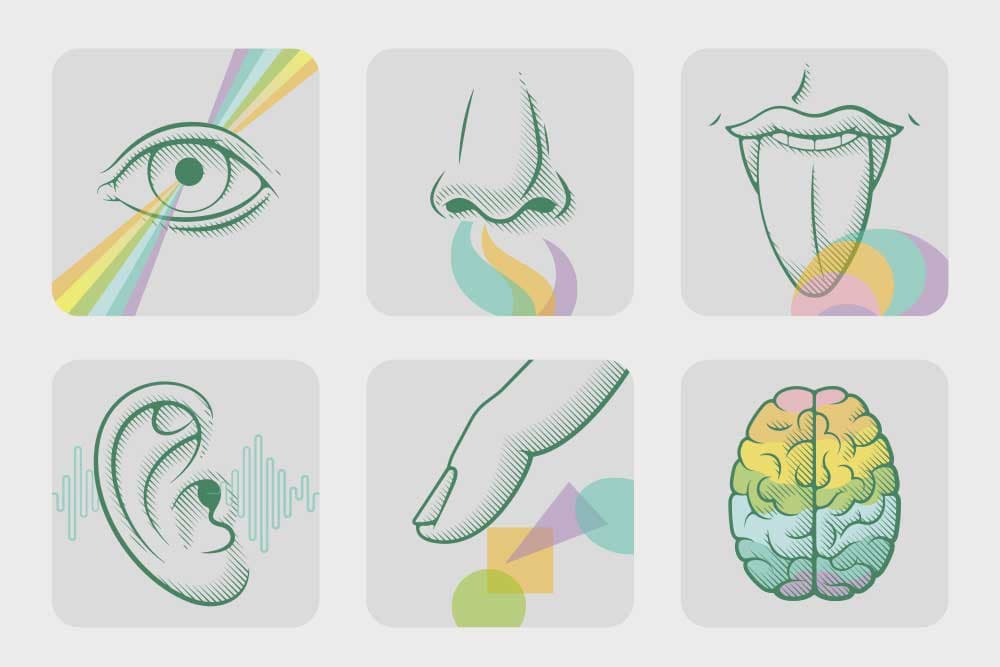Multi-sensory marketing concept