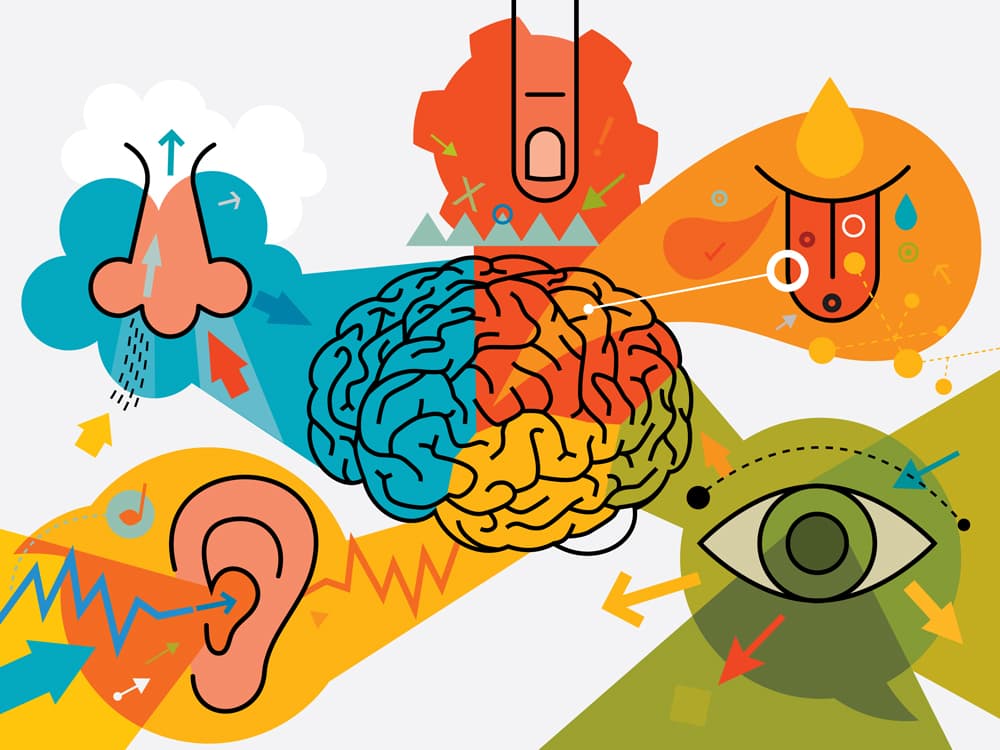 Sensory branding engages multiple senses to create memorable brand experiences