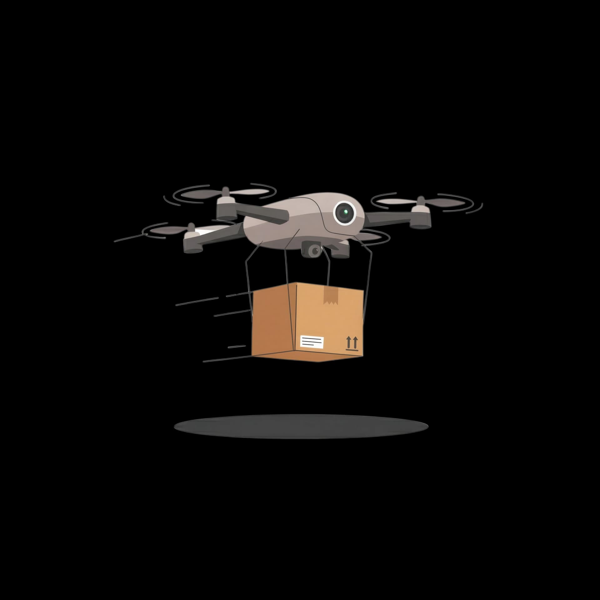 Drone Delivery Service