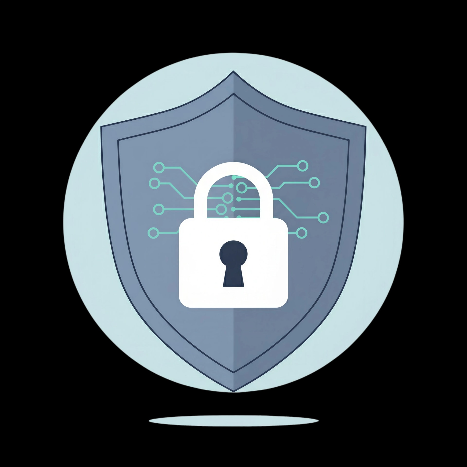 Data Security Shield