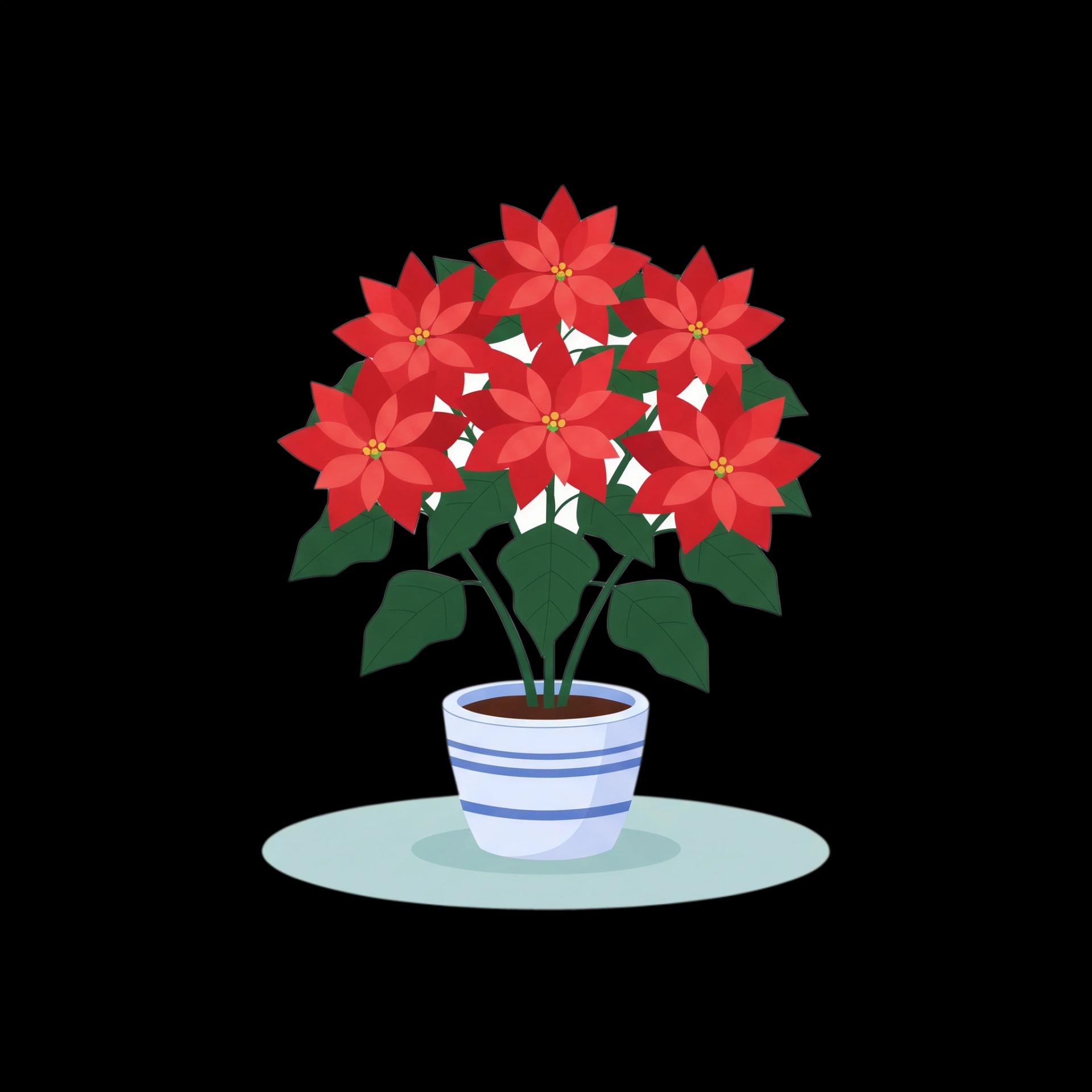 Festive Poinsettia Plant
