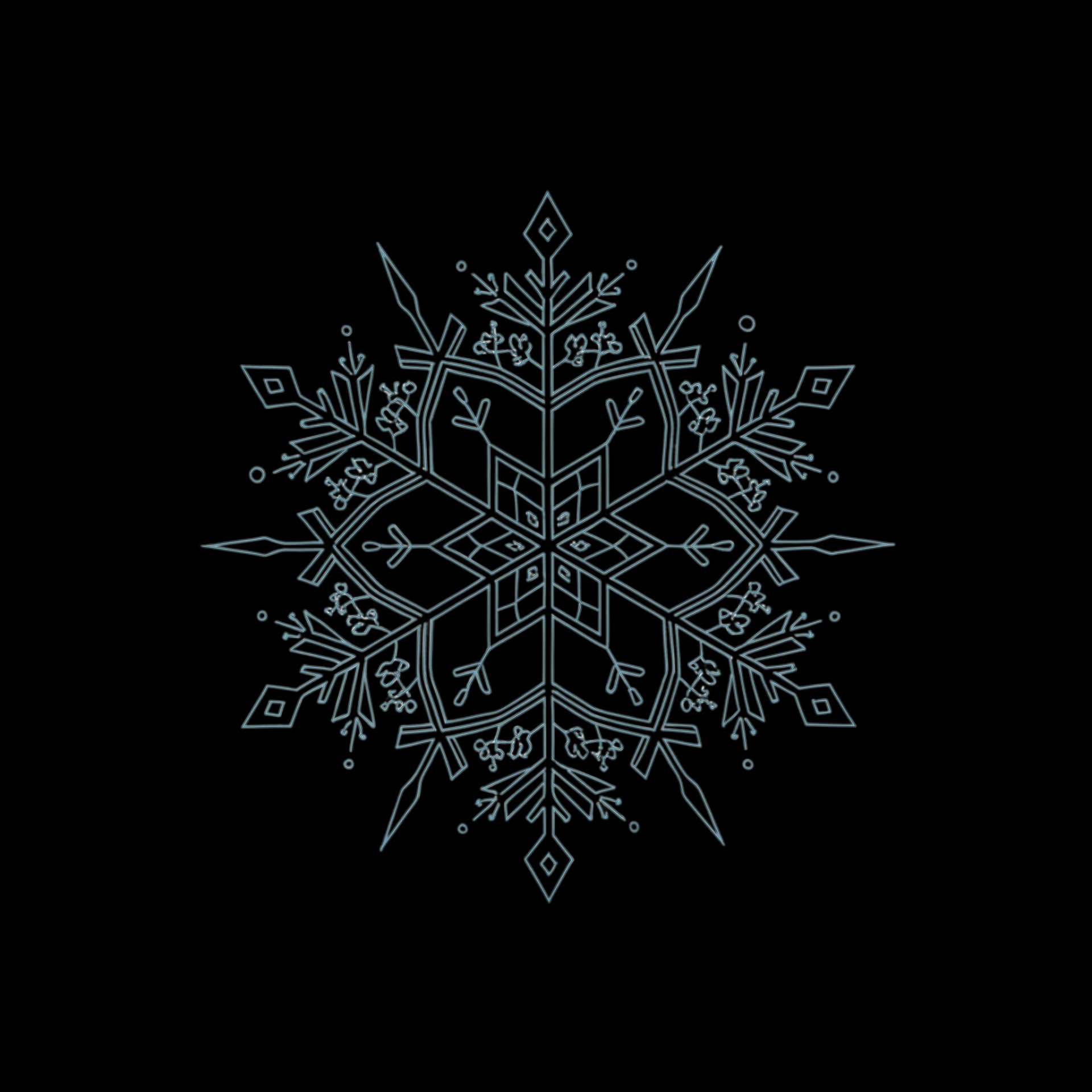 Intricate Snowflake