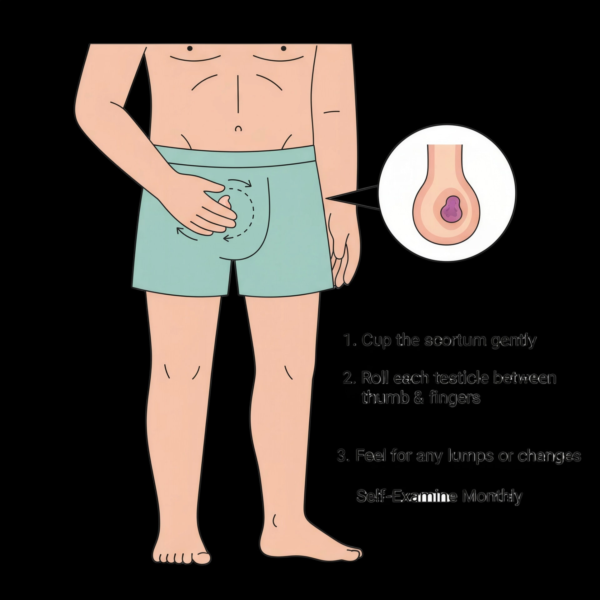 Testicular Exam