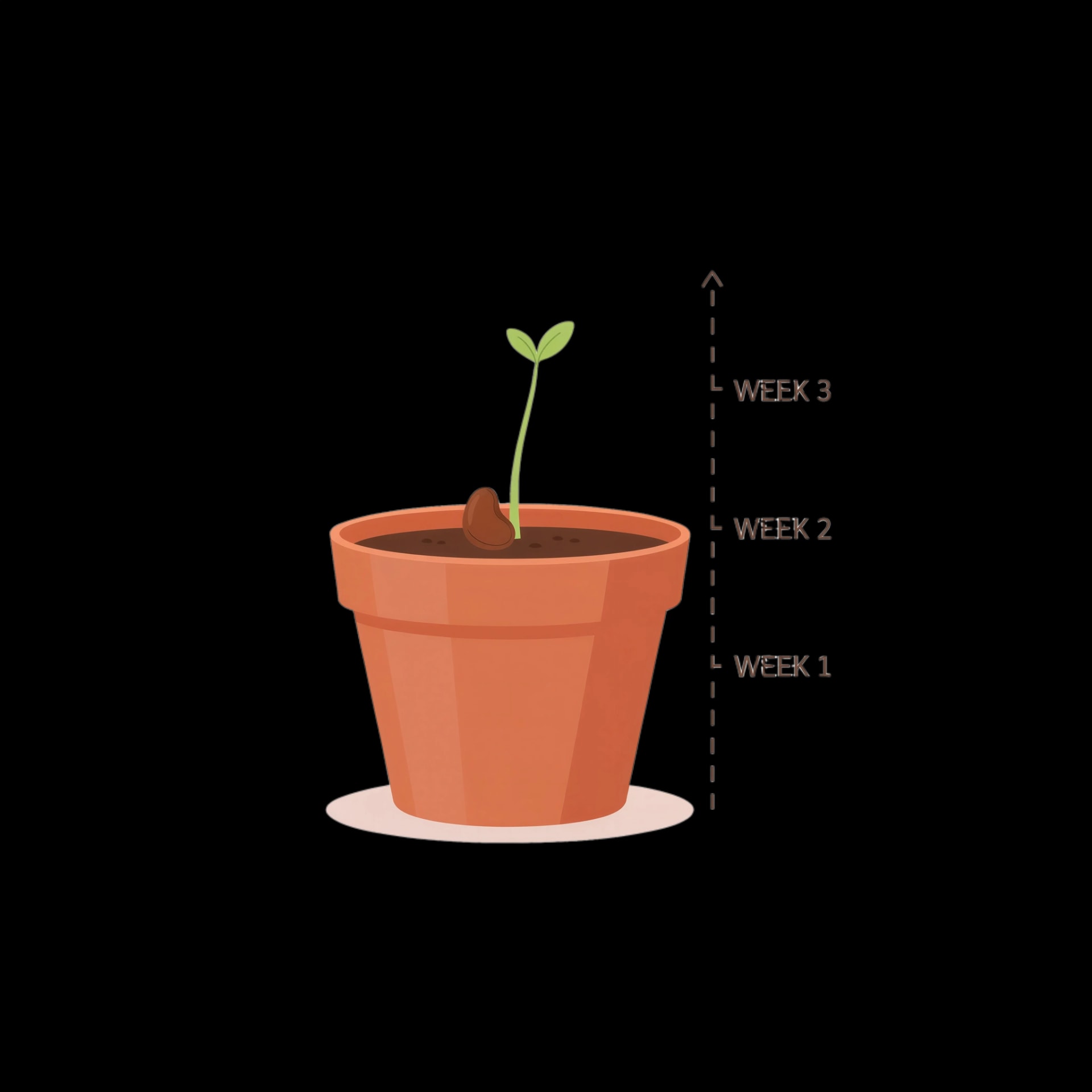 Symbol of Growth