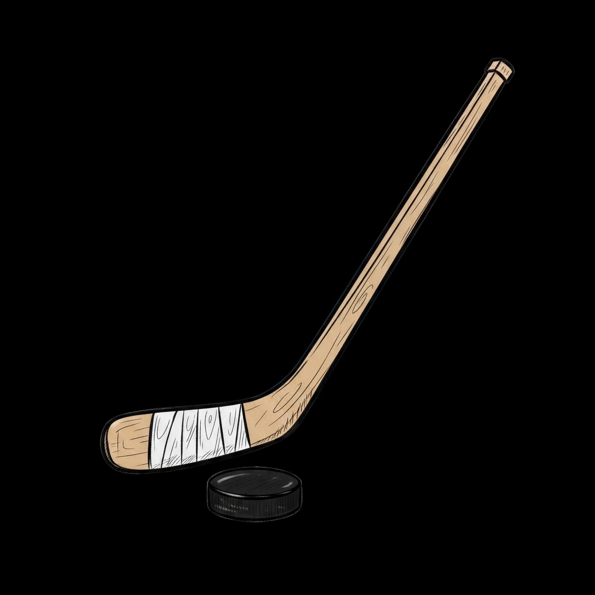 Hockey Stick and Puck