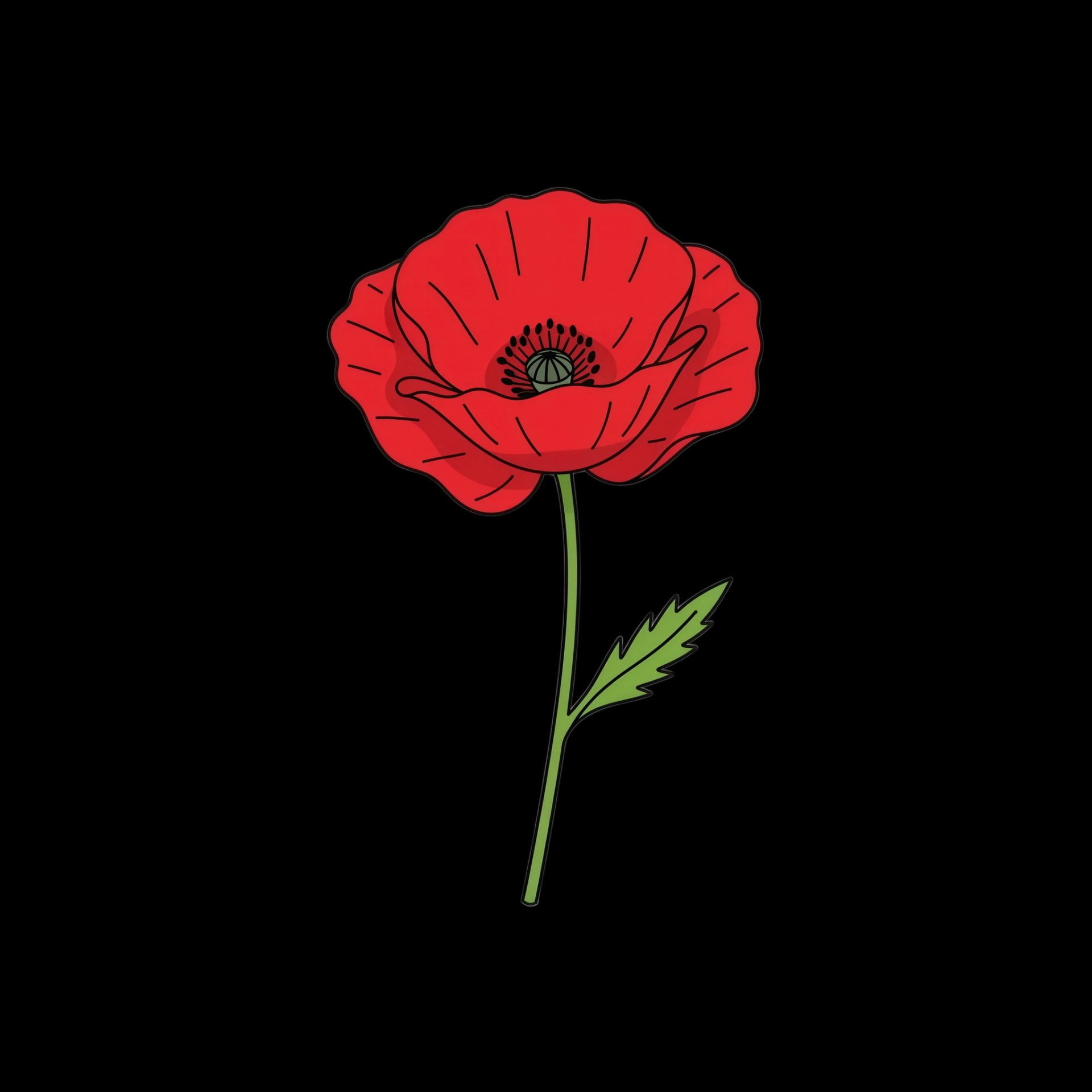 Remembrance Poppy
