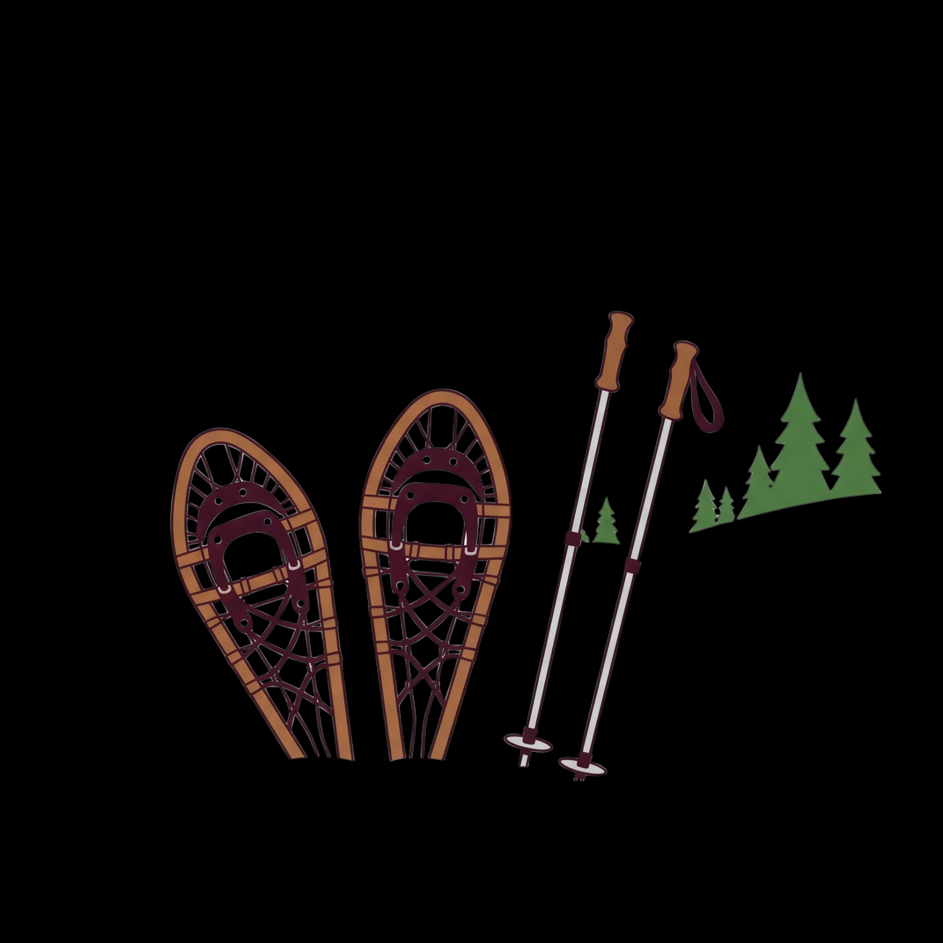 Snowshoeing Trail