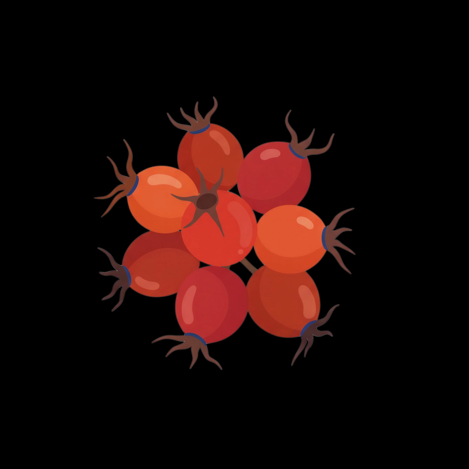 Winter Berry Cluster