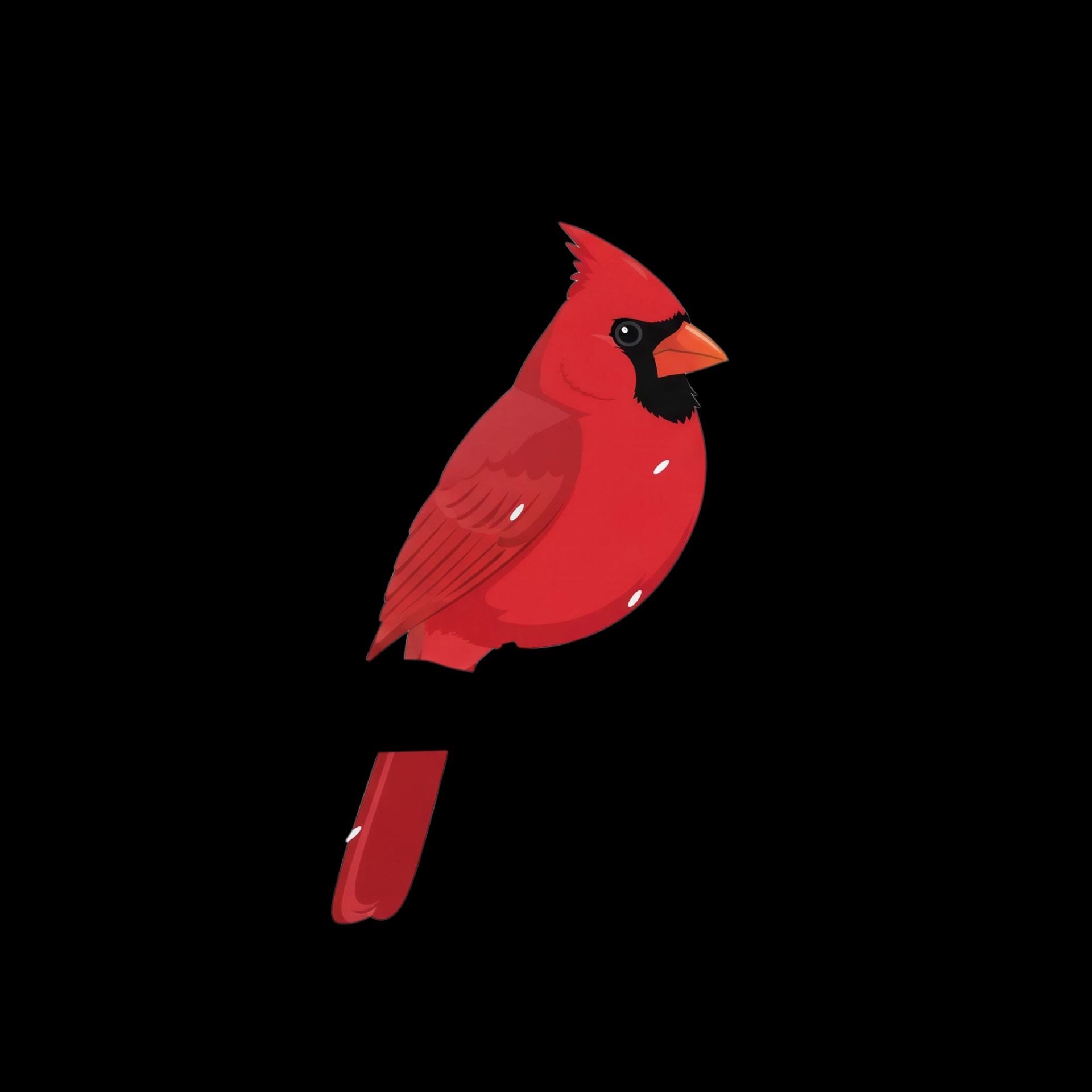 Cardinal on Snow Branch