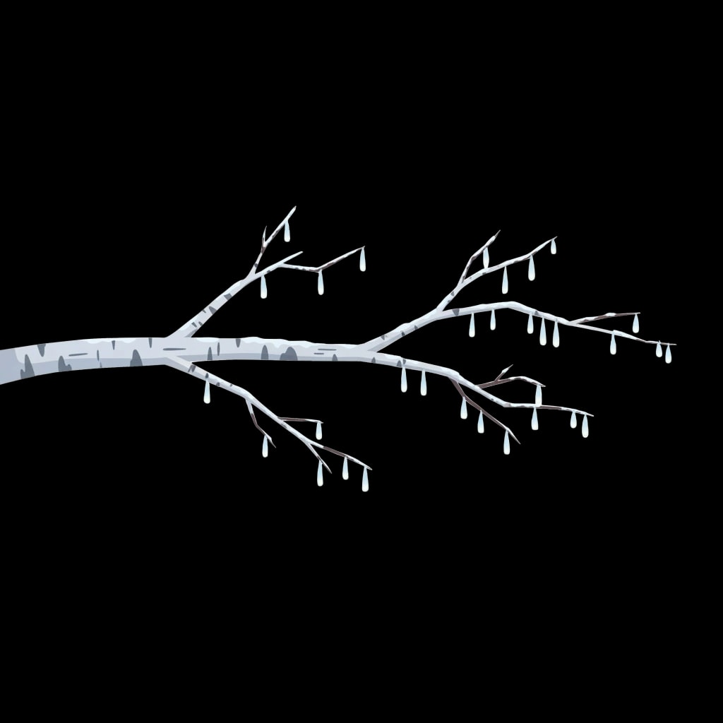 Shimmering Birch Branch