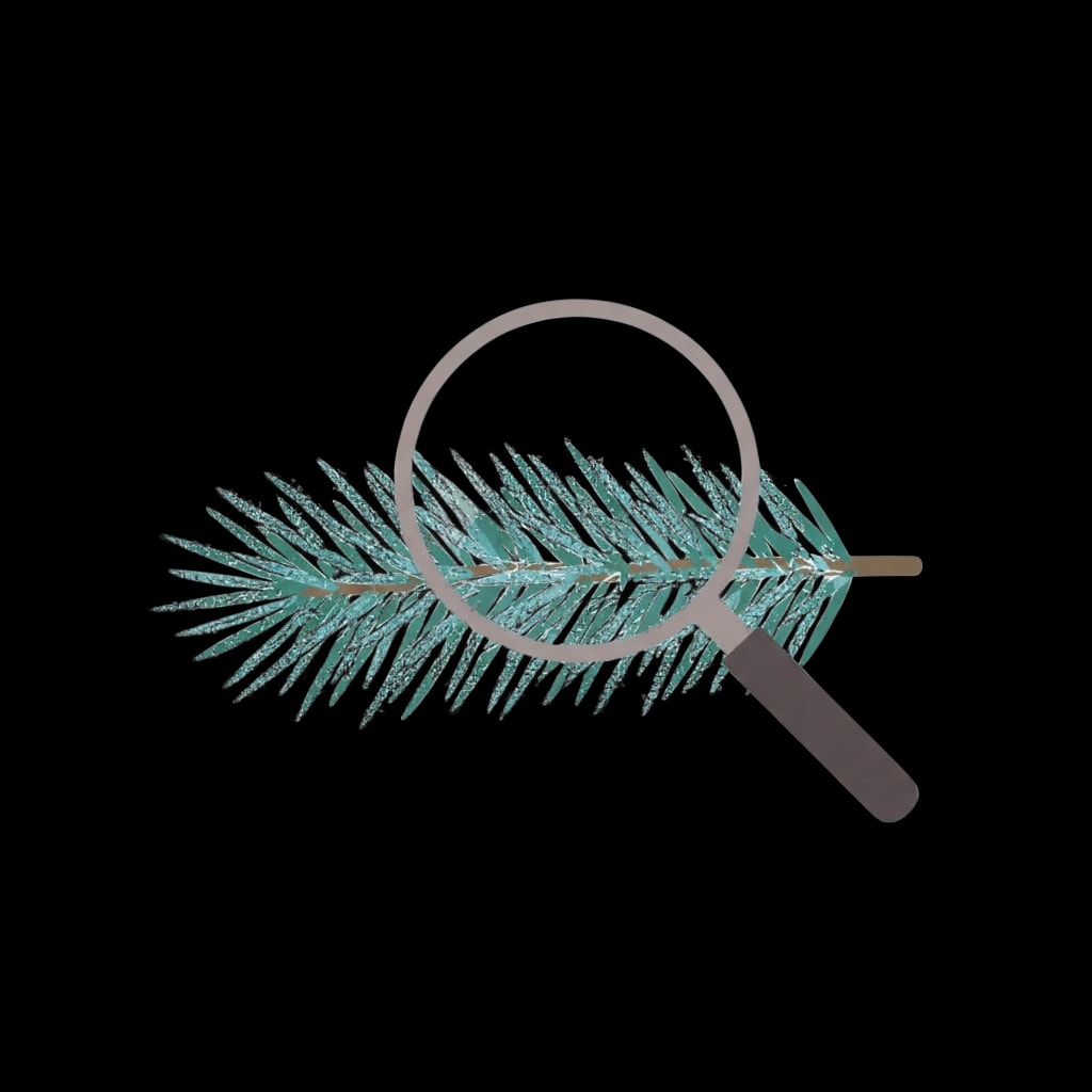 Magnified Winter Leaf