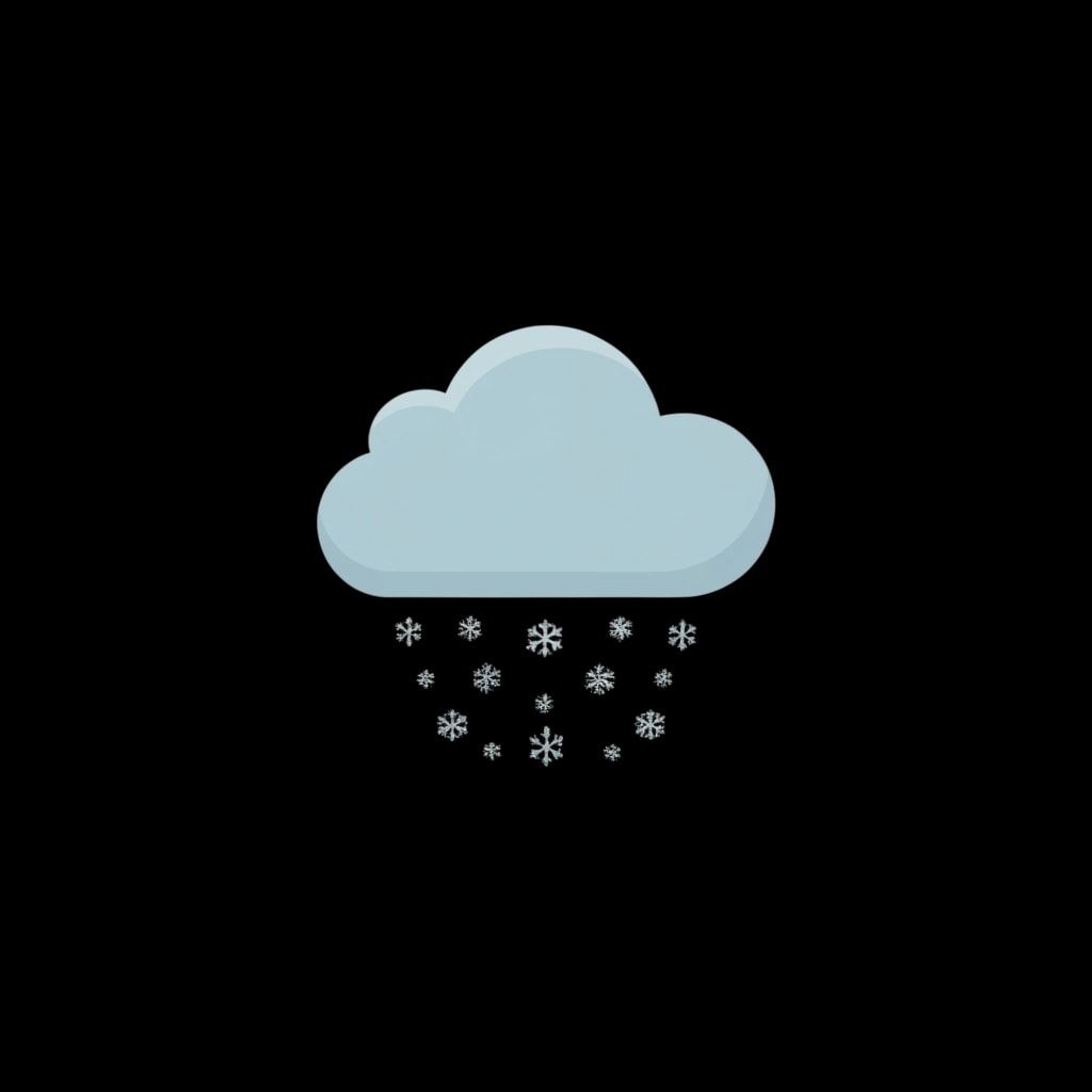 Snowfall Data Transfer